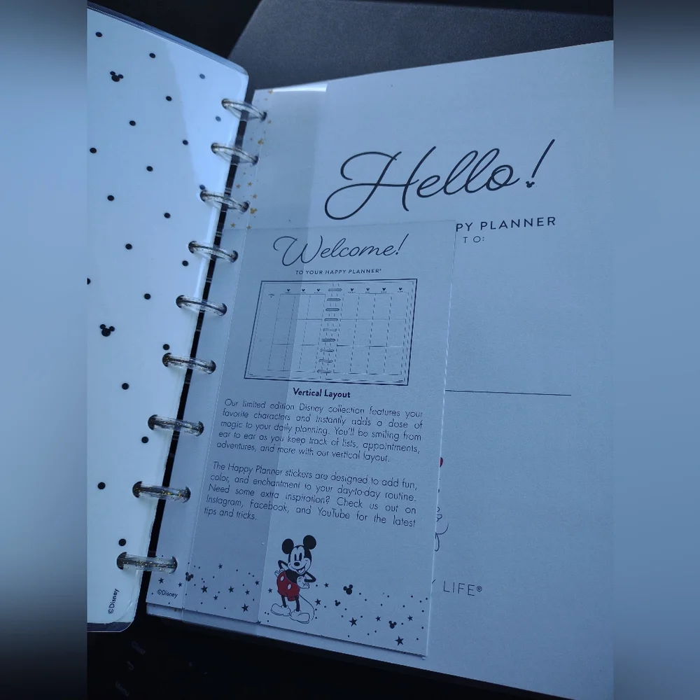 The Happy Planner See The Beauty In Every Day Mickey And Minnie Mouse